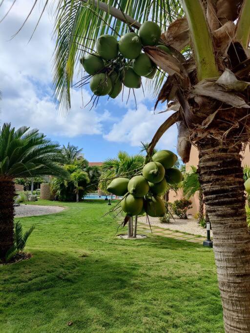 Aruba Family Oasis 2Br Pool 3Min Walk To Eagle Beach Палм Бич Экстерьер фото